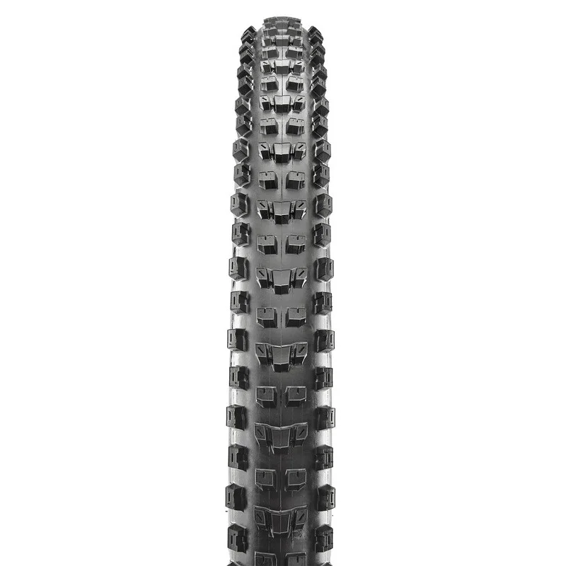 dr-rider-120260924210842223690