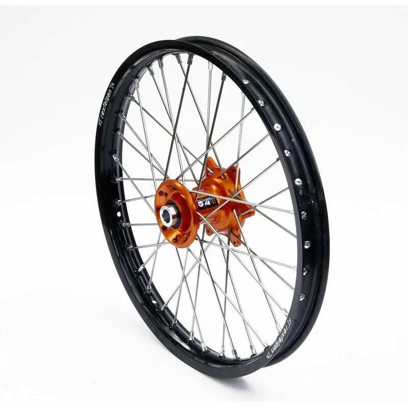 dr-rider-120260925021040291256