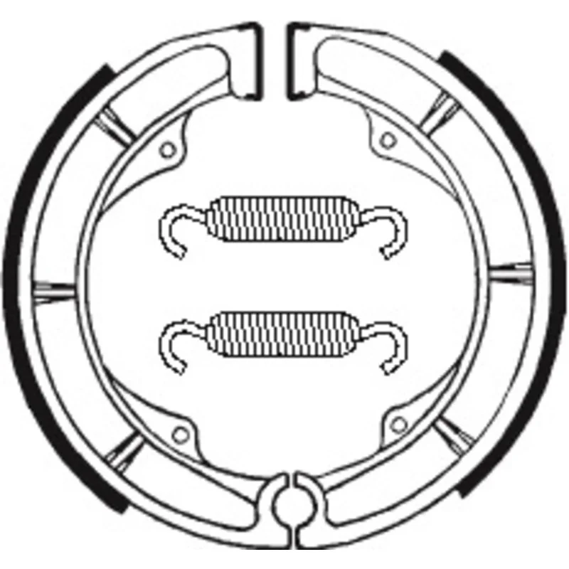 dr-rider-120260925031007305829