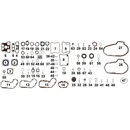 ksmotorcycles-220260925182918461381